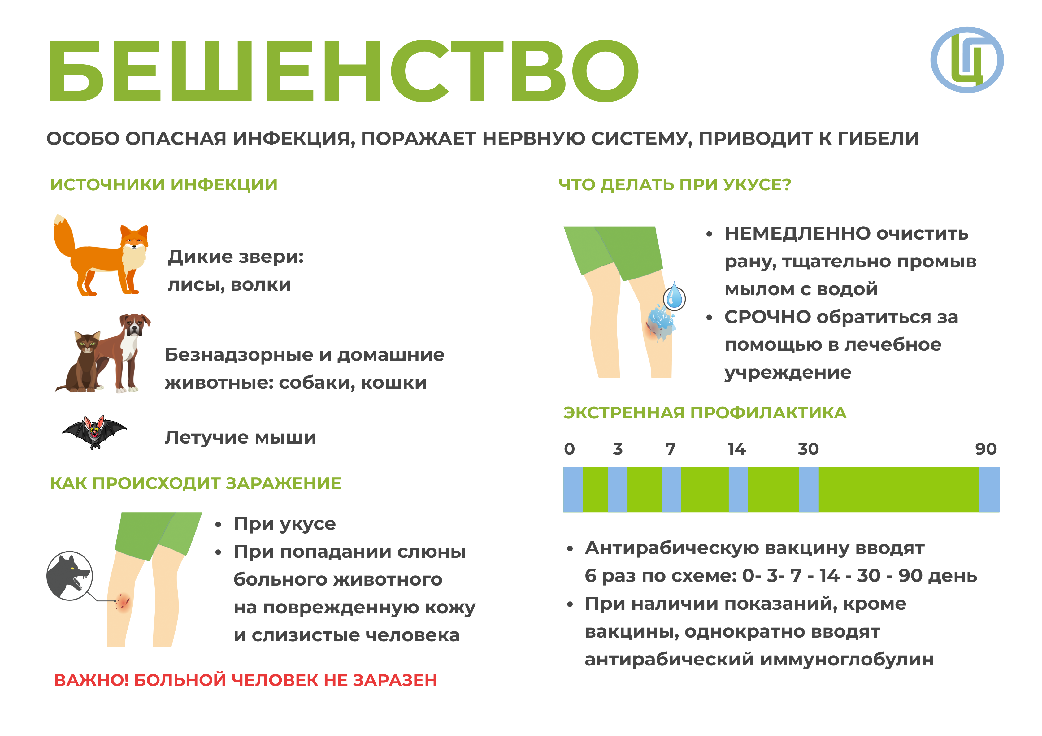 Бешенство_1.png